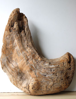 Treibholz Schwemmholz Driftwood 1  XXL Skulptur Dekoration Terrarium  68  cm hoch (XXL302)