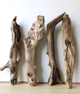 Treibholz Schwemmholz Driftwood 4 XL    Hölzer  Dekoration Garten Terrarium   44 cm - 46 cm **E45** (TR1084)
