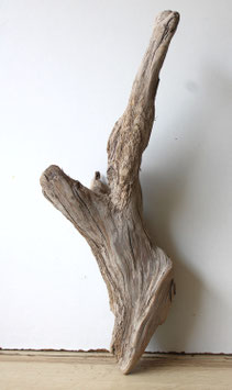 Treibholz Schwemmholz Driftwood 1 Wurzel Dekoration Garten Terrarium 52 cm (W750)