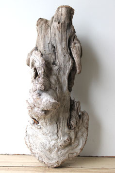Treibholz Schwemmholz Driftwood  1 knorrige   Wurzel  Dekoration Garten Terrarium  49 cm (W693)