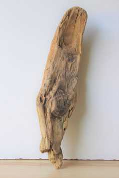 Treibholz Schwemmholz Driftwood  1 Skulptur  41 cm  (S300)