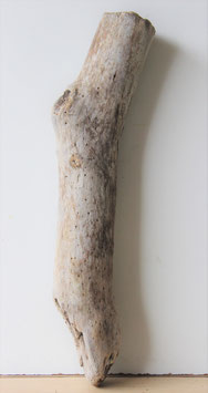 Treibholz Schwemmholz Driftwood  1  Stamm 63 cm (ST410)
