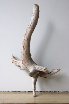 Treibholz Schwemmholz Driftwood 1 Wurzel Dekoration Terrarium Garten 40 cm lang (W662)