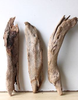 Treibholz Schwemmholz Driftwood  3  XL   Hölzer Dekoration Garten Terrarium 43 cm - 46 cm lang  (TR918)