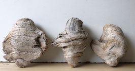 Treibholz Schwemmholz Driftwood 3 knorrige Hölzer Dekoration Garten Terrarium Aquarium 19- 22 cm  **E41** (TR1018)