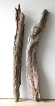 Treibholz Schwemmholz Driftwood 2 XXL Hölzer Dekoration Garten Terrarium 76 cm - 81 cm  (TR1306)