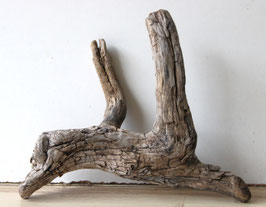 Treibholz Schwemmholz Driftwood  1  Wurzel Dekoration Garten Terrarium 21 cm hoch (W725)