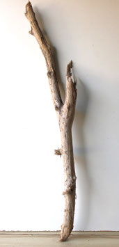 Treibholz Schwemmholz Driftwood 1  XXL  Skulptur  Dekoration Garten Terrarium 130  cm (XXL314)