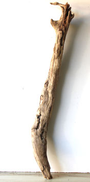 Treibholz Schwemmholz Driftwood 1 XXL Stamm  Dekoration Garten Terrarium 118 cm  (ST496)