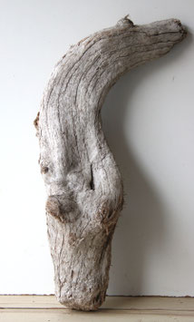 Treibholz Schwemmholz Driftwood  1 XXL Skulptur  Terrarium Garten Dekoration  76 cm  (XXL328)