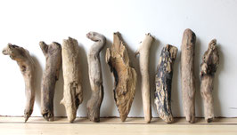 Treibholz Schwemmholz Driftwood 9  Hölzer Dekoration Garten Terrarium 26 cm - 30 cm lang **E4* (TR1027)