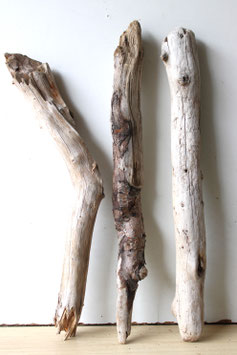 Treibholz Schwemmholz Driftwood 3 XL  Hölzer Terrarium  Dekoration Garten  50  cm - 56  cm  **E182**  (TR989)