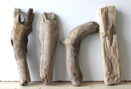 Treibholz Schwemmholz Driftwood 4 knorrige  Hölzer Dekoration Garten Terrarium 32 cm - 40 cm **E78**  (TR1309)