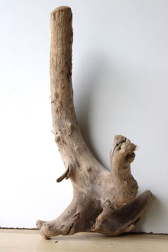 Treibholz Schwemmholz Driftwood 1 Wurzel Dekoration Terrarium Garten 41 cm lang (W664)