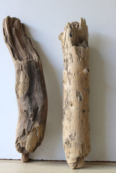 Treibholz Schwemmholz Driftwood 2 XL   Hölzer Dekoration Garten Terrarium 49 cm **E14**  (TR1311)