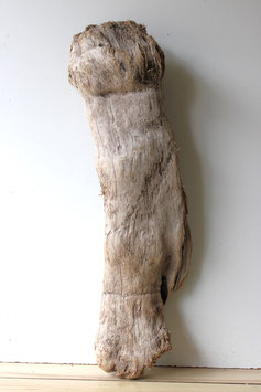 Treibholz Schwemmholz Driftwood 1 XXL  Skulptur  Dekoration Garten 97 cm  (XXL260)