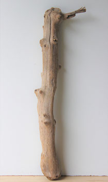 Treibholz Schwemmholz Driftwood  1 XL Stamm  (ST306)