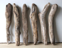 Treibholz Schwemmholz Driftwood  6   Hölzer Dekoration Garten  Terrarium 38 cm- 39  cm **E48** (TR951)