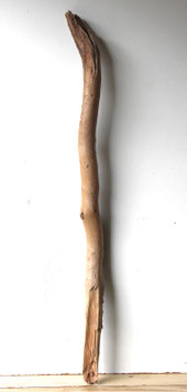 Treibholz Schwemmholz Driftwood 1 XXL Ast  Dekoration Garten Garderobe 120 cm (Ä1655 )