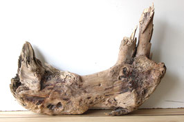 Treibholz Schwemmholz Driftwood  1 knorrige  XXL   Skulptur 42 cm hoch (S336)