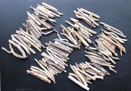 Treibholz Schwemmholz Driftwood  100 Ästchen  Dekoration Garten Terrarium 10 cm - 18 cm **101** (M367)