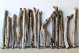 Treibholz Schwemmholz Driftwood  15 Äste Dekoration Garten Terrarium 32 cm - 42 cm **E167** (Ä1647)