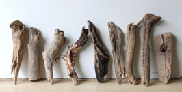 Treibholz Schwemmholz Driftwood 9 Hölzer Dekoration Garten Terrarium  26 cm - 34cm **E29** (TR1132)