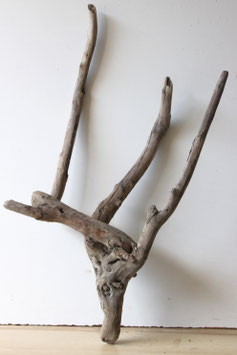 Treibholz Schwemmholz Driftwood  1 XXL  Wurzel Dekoration Garten Terrarium  74 cm lang (W731)