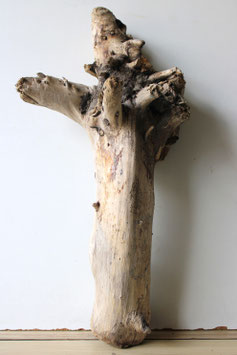 Treibholz Schwemmholz Driftwood  1 XL  Wurzel Dekoration Terrarium Garten  61 cm  (W631)