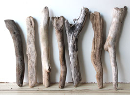 Treibholz Schwemmholz Driftwood 7  Hölzer Garten Terrarium Dekoration Garten 38-43 cm **E40** (TR1228)