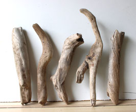 Treibholz Schwemmholz Driftwood 5 Hölzer Dekoration Garten Terrarium 30 cm - 41 cm lang **20** (TR1063)