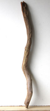 Treibholz Schwemmholz Driftwood  1 XL Ast Terrarium Garten Dekoration Garderobe 85 cm  (SA875)