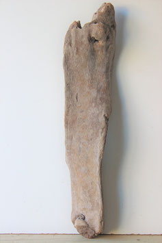 Treibholz Schwemmholz Driftwood  1 XXL Skulptur  93 cm lang (XXL245)