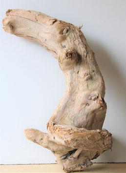 Treibholz Schwemmholz Driftwood  1 XXL Skulptur  98 cm (XXL252)