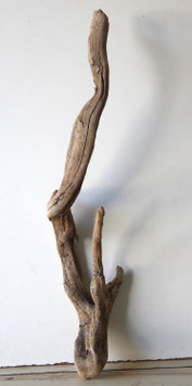 Treibholz Schwemmholz Driftwood 1 Wurzel Dekoration Garten Terrarium 70 cm (SA910)