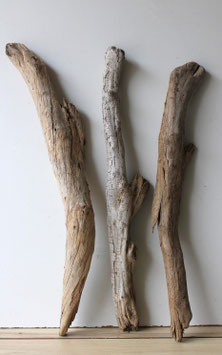 Treibholz Schwemmholz Driftwood  3 XXL  Hölzer  Dekoration Terrarium  67 cm - 73 cm  (TR1033)