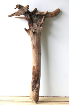 Treibholz Schwemmholz Driftwood 1 XL Wurzel Dekoration Garten 85 cm (W723)