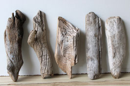 Treibholz Schwemmholz Driftwood  5 knorrige Treibhölzer Terrarium Garten  25 cm - 29 cm lang **4** (TR1195)