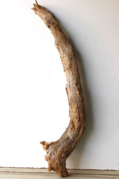 Treibholz Schwemmholz Driftwood 1  XXL Skulptur  Dekoration Garten Terrarium 90 cm (XXL311)