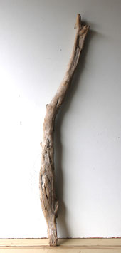 Treibholz Schwemmholz Driftwood 1 XXL Ast  Dekoration Garten Garderobe 111 cm  (Ä1652 )