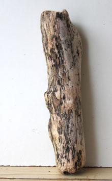 Treibholz Schwemmholz Driftwood  1 Stamm  Dekoration  Aquarium Terrarium 47 cm   (SA889)