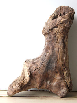 Treibholz Schwemmholz Driftwood  1 knorrige Wurzel  Terrarium Garten Dekoration Garderobe 40 cm  (SA879)