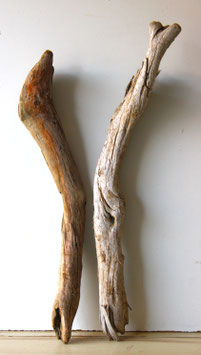 Treibholz Schwemmholz Driftwood 2 XXL Hölzer Dekoration Garten  Terrarium 78 cm - 86 cm (SA909)