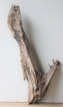 Treibholz Schwemmholz Driftwood  1  knorrige  Rarität    59 cm lang  (R286)