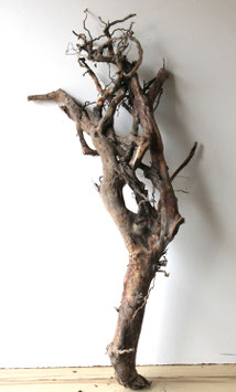 Treibholz Schwemmholz Driftwoood 1 MEGA Wurzel Dekoration Terrarium 113 cm (W699)