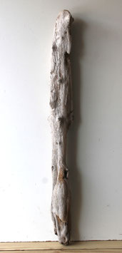 Treibholz Schwemmholz Driftwood  1 XXL  Stamm Dekoration Garten Terrarium 127 cm (ST522)