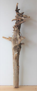 Treibholz Schwemmholz Driftwood  1 MEGA Skulptur 125 cm  (XXL207)