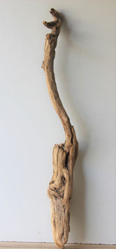 Treibholz Schwemmholz Driftwood  1 XXL  Wurzel  115 cm  (W411)