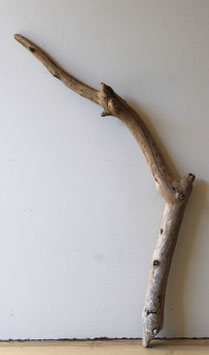 Treibholz Schwemmholz Driftwood 1  Ast Dekoration Garderobe Terrarium 67 cm (SA917)