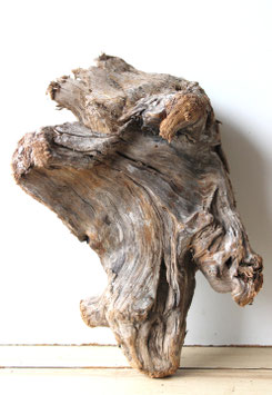 Treibholz Schwemmholz Driftwood 1 knorrige XL Wurzel Dekoration Garten Terrarium 48 cm (W712)